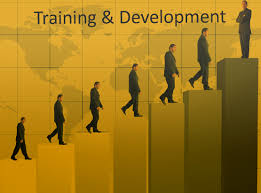 people climbing steps of development